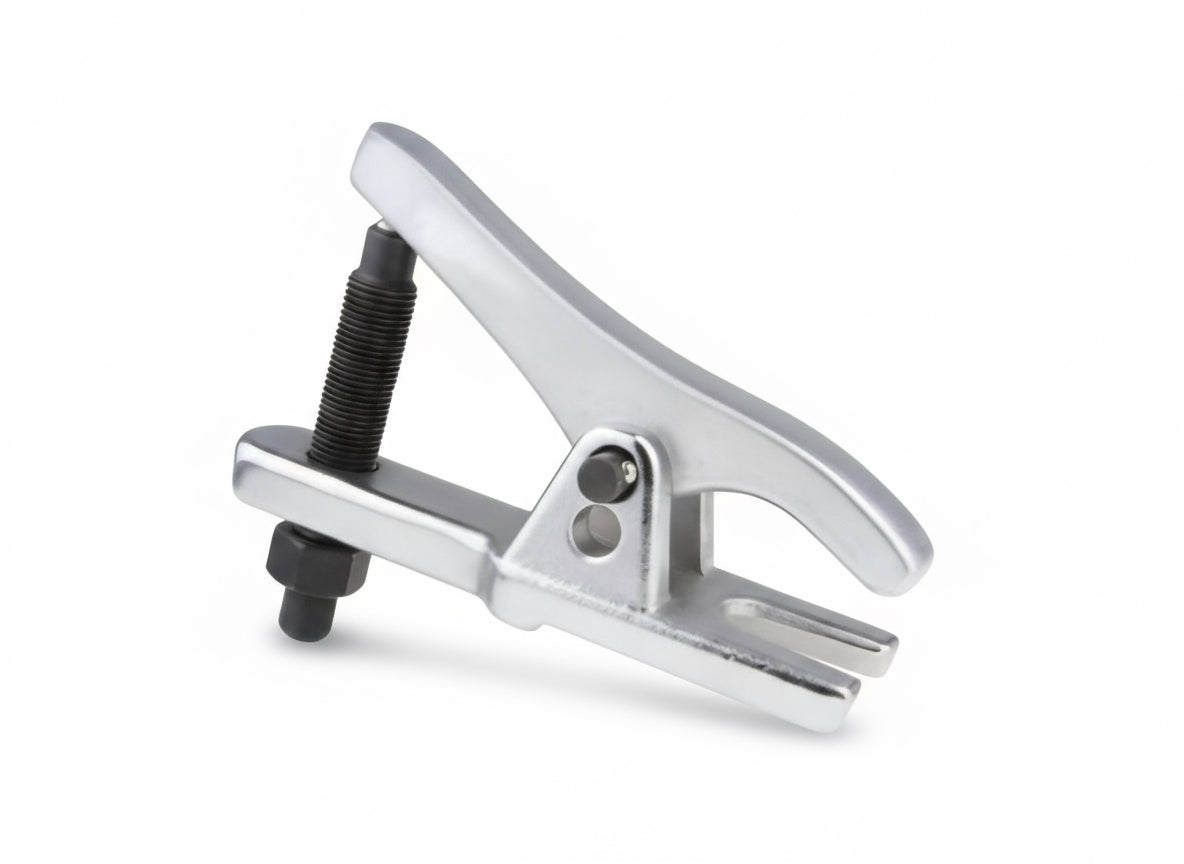 زرجينة بيض عفشة DURMIRI