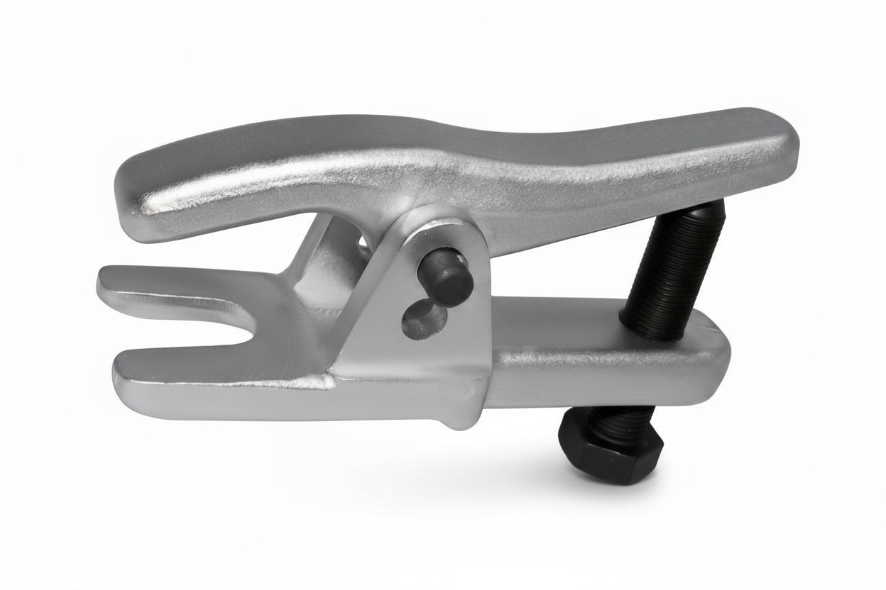 زرجينة بيض عفشة HANS